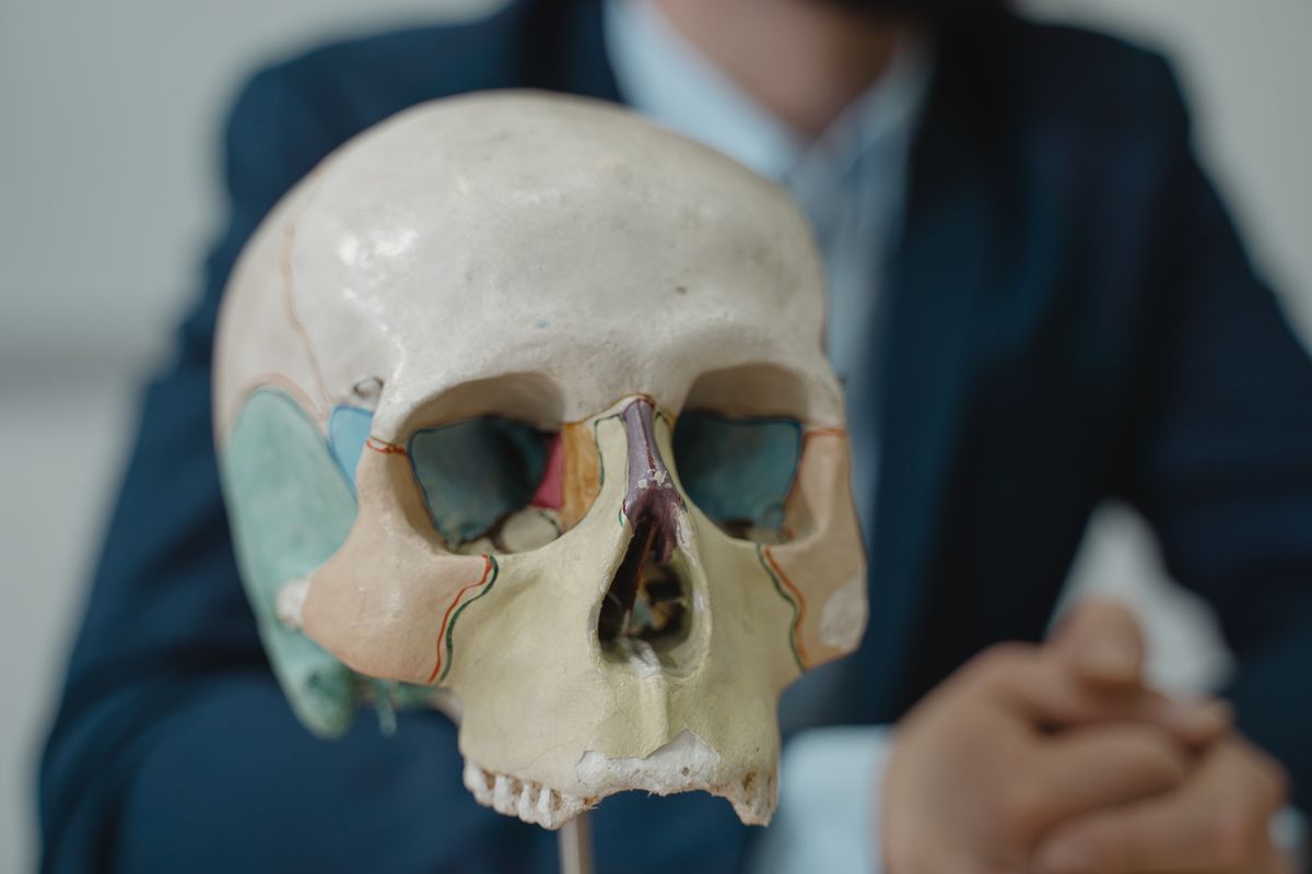An anatomical model of a human head and skull in a classroom setting